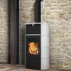 Fireplace stove for logs Flamma CS, Water, White