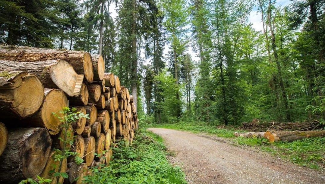 Biomasa - obnovljiv vir ogrevanja